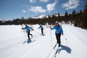 Melhores Estações de Esqui para Esquiadores Intermediários | Snowonline 6 Tamarack XC 02 Melhores Estações de Esqui para Esquiadores Intermediários | Snowonline -