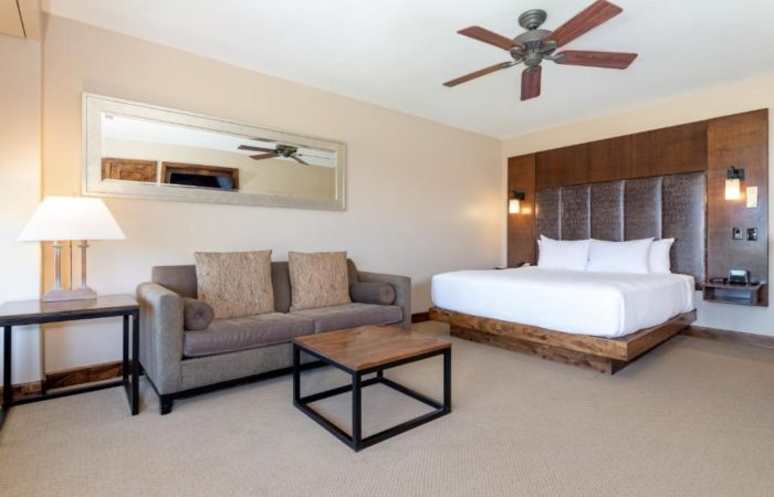 1 KING BEDROOM WITH MONTAIN VIEW