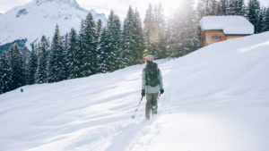 Skier